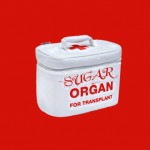 Sugar Organ-Starving Artist-CD Review