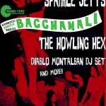 Radio 1190’s HYPNOTIC TURTLE RADIO Celebrates First Year with Bacchanal