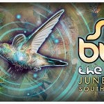 Sonic Bloom 2014 Preview