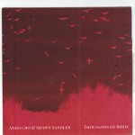 Ando Gro & Shawn Sandler- Thousands of Birds