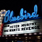 Peter Murphy @ Bluebird Nov.28, 2011